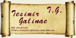 Tešimir Galinac vizit kartica